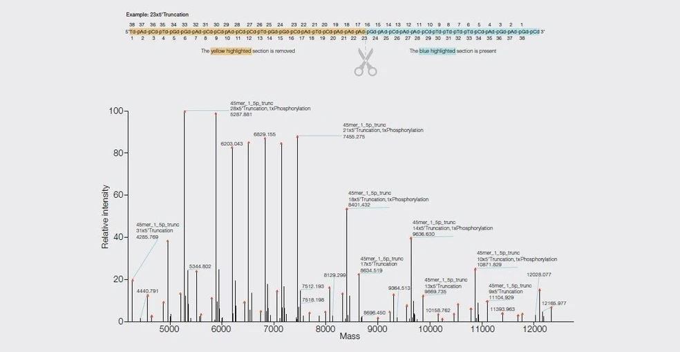 Thermo Scientific™ BioPharma Finder™ Software:  Use the expanded sequence matching capabilities for oligonucleotides which includes the ability to perform Terminal Truncation Searching from either the 3' or 5' terminus, facilitating the identification of impurities with greater ease.