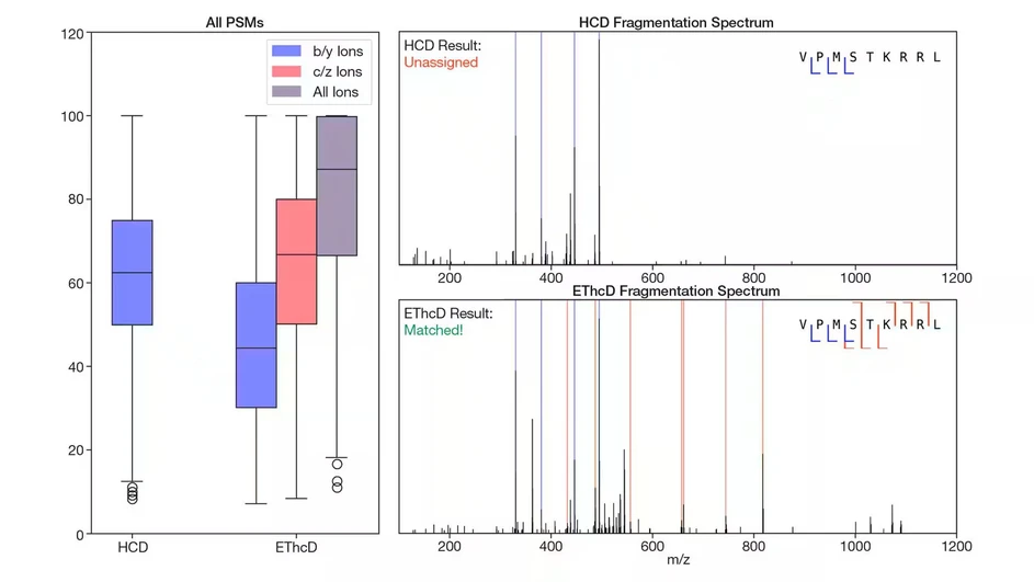 Thermo Scientific Orbitrap Excedion Pro Mass Spectrometers: Sequence coverage of all Peptide spectrum matches (PSMs) when using either HCD fragmentation or EThcD fragmentation. Sequence coverage was calculated by matching theoretical fragments with 10 ppm mass accuracy and confirming the charge state. Sample: Immunopeptides from Jurkat cells, courtesy of Dr. Albert Heck.
