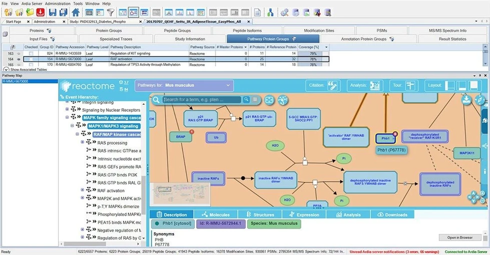 Thermo Scientific Proteome Discoverer Software: Pathways can also be directly visualized, providing biological context and background literature references using pathway maps.