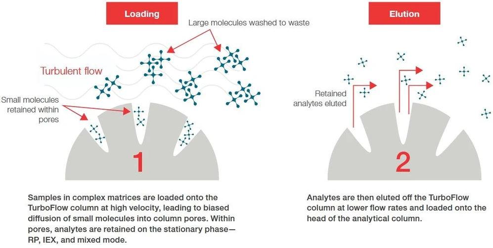 Thermo Scientific™ Transcend™ Multichannel UHPLC Systems: On-line čištění vzorků s technologií TurboFlow™ (TLX)