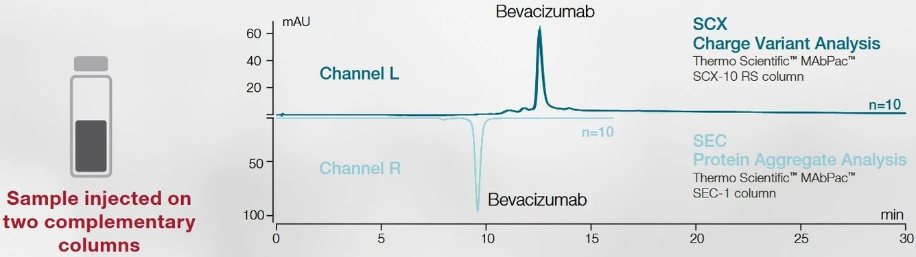 Thermo Scientific Vanquish Duo UHPLC Systems: Two independent assays run simultaneously from a single sample on one LC instrument to deepen your sample knowledge.
