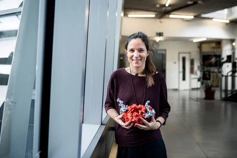 The origin of life on Earth – and possibly elsewhere in the universe – studied by the PROTOCELL project from IOCB Prague