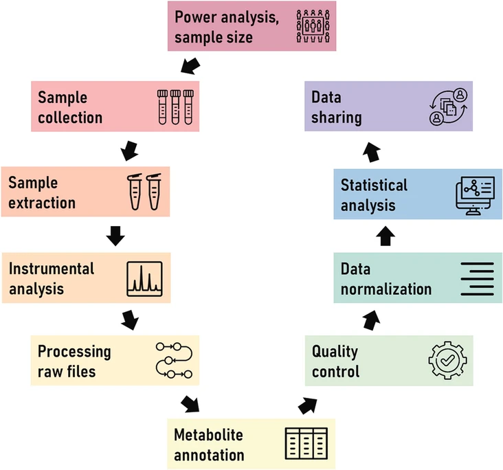 TrAC 2024, 180, 117940: Fig. 1. Metabolomics and lipidomics workflow.