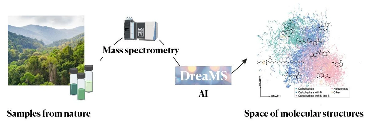 UOCHB AV ČR: Umělá inteligence DreaMS umožňuje charakterizaci molekulárních struktur přítomných v přírodě prostřednictvím interpretace dat z hmotnostní spektrometrie.