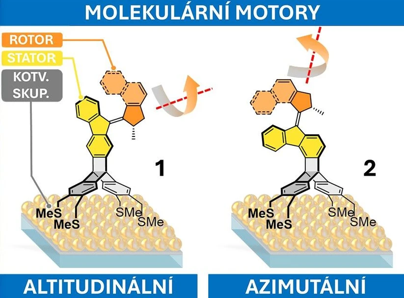 ÚOCHB: Dva typy miniaturních světlem poháněných molekulárních motorů, které se dokážou otáčet o 360° jak v roztoku, tak i po přichycení na povrch. Jejich osa rotace může být přesně nasměrována buď rovnoběžně, nebo kolmo k povrchu kovového (zlatého) povrchu.