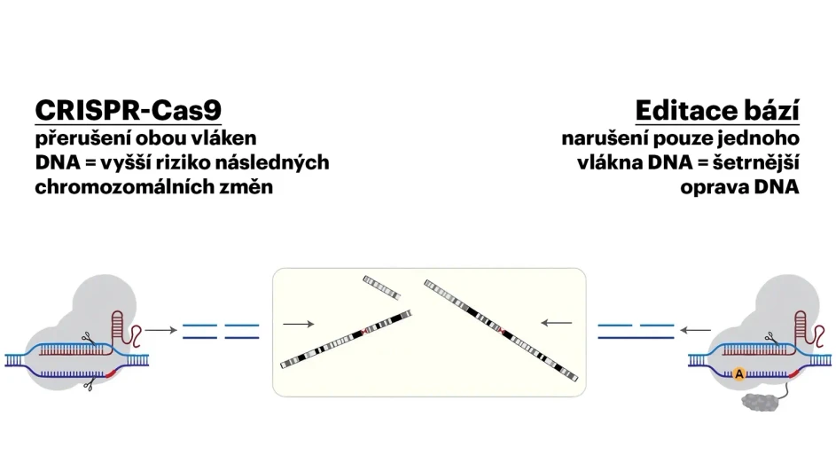 IOCHB Prague: A study in Nature sheds new light on DNA repair in early human embryos, with implications for future gene correction: The diagram illustrates the difference between CRISPR-Cas9 and base editing. The study shows that the method used to disrupt DNA affects the mechanism by which it is repaired in early human embryos. Credit: Adapted from Jeřábek et al., Nature, 2026.