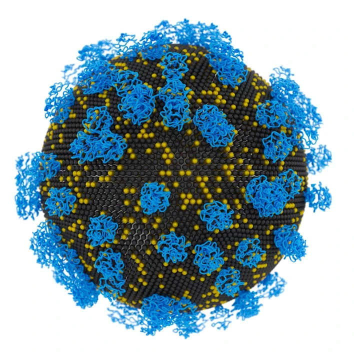 ÚOCHB / Tomáš Belloň: XMAN lipid nanoparticle for easy transport of various types of therapeutic nucleic acids into cells.