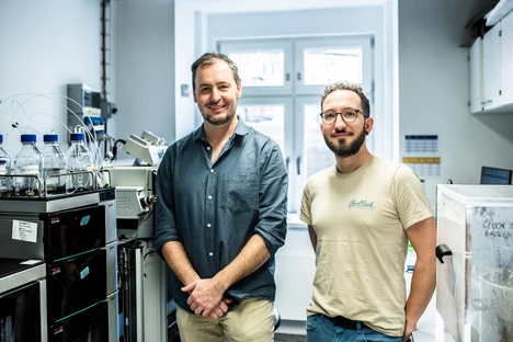 A breakthrough in big data processing helps trace chemicals in complex mixtures