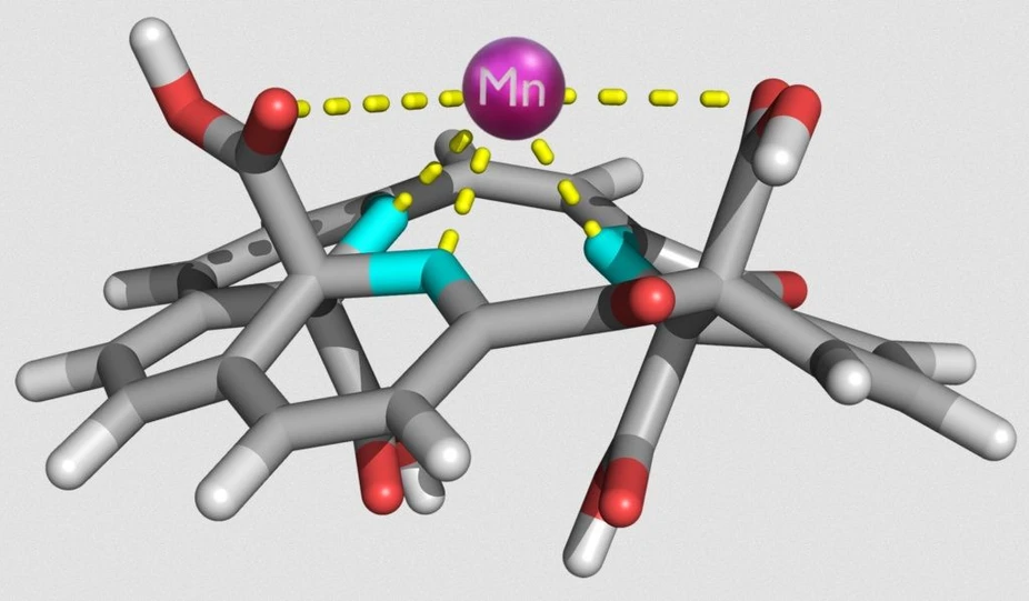 UPOL / CATRIN: Atomární antibiotika vyvinutá českými vědci dokáží čelit rezistenci bakterií.