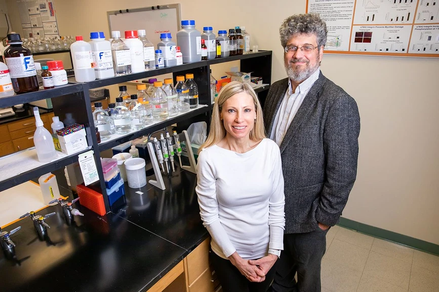 University of Illinois Urbana-Champaign/Michelle Hassel: Kinesiology and community health professor Marni Boppart, left, chemistry professor Jonathan Sweedler and their colleagues developed a new method to recover skeletal muscle after disuse. They report their findings in the Journal of Physiology.