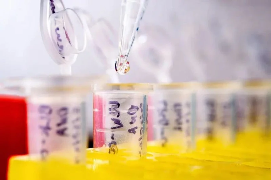 University of Notre Dame / Matt Cashore, Barbara Johnston: Working with Gary Lamberti, Michael Pfrender (pictured), director of Notre Dame's Genomics and Bioinformatics Core Facility, is studying how PFAS impacts gene expression in Lake Michigan fish.
