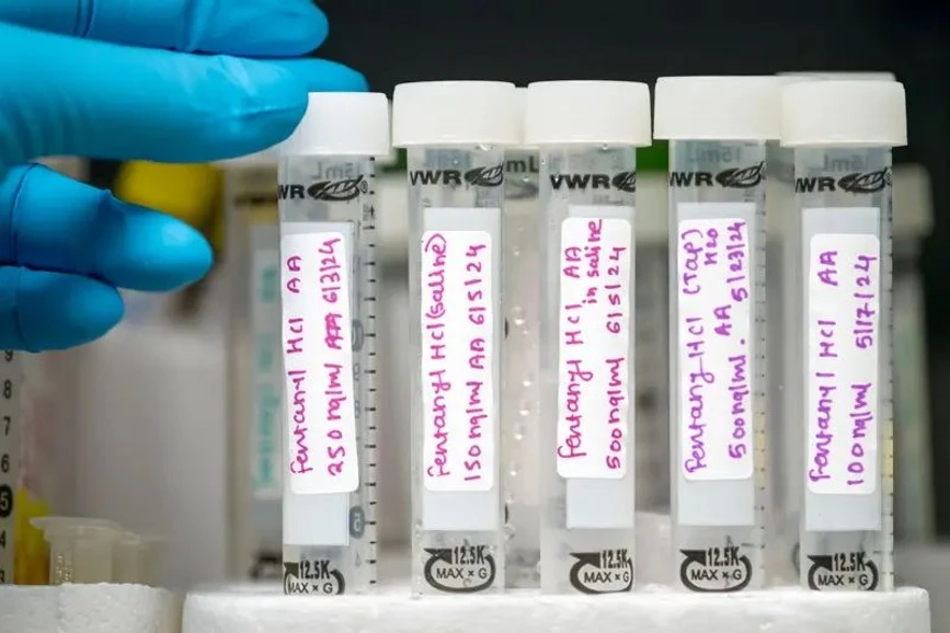 University of Notre Dame: Researchers prepare solutions for testing the accuracy of fentanyl test strips.