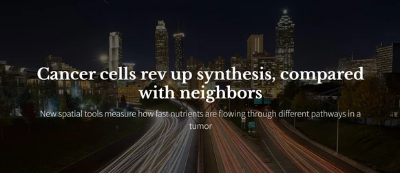 Cancer cells rev up synthesis, compared with neighbors