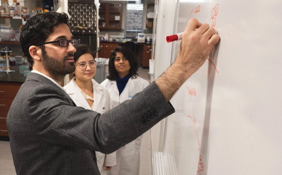 Washington University in St. Louis/Sean Garcia: In partnership with Agilent and Merck, scientists in the Department of Chemistry in Arts & Sciences will develop new metabolomics workflows.