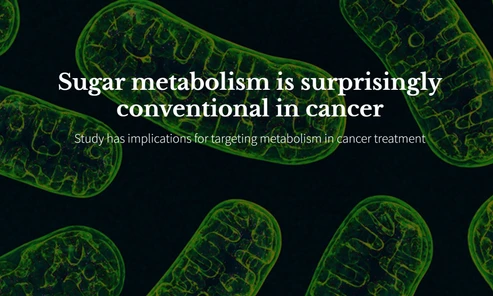 Sugar metabolism is surprisingly conventional in cancer