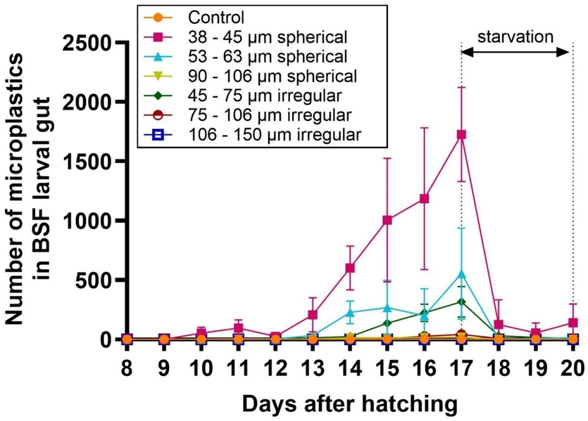 Waste Management, 203, 2025, 114852: Fig. 4. Number of polyethylene particles found in the guts of BSF larvae reared on an artificial food waste: control (unspiked), spiked with spherical polyethylene microplastics of three size ranges (38 – 45 µm, 53 – 63 µm, 90 – 106 µm), and spiked with irregularly shaped polyethylene microplastics of three size ranges (45 – 75 µm, 75 – 106 µm, 106 – 150 µm). A starvation stage was carried out between 17 and 20 days after hatching (DAH). Data points and error bars represent the mean value (9 repetitions) and the standard deviation, respectively.