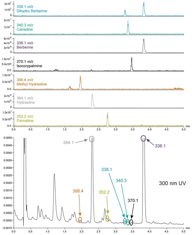 Waters: Waters Alliance HPLC systém ve spojení s hmotnostním detektorem Waters ACQUITY QDa
