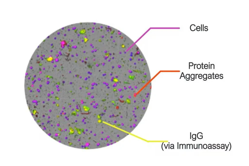 Waters: Aura+ System - Cells, protein aggregate, and igG (via immunoassay).