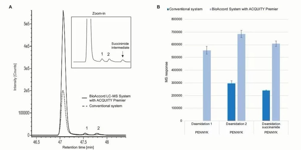 Waters BioAccord LC-MS System: The figure (A) shows the extracted ion chromatograms (XIC) for GFYPSDIAVEWESNGQPENNYK (PENNYK) peptide unmodified and deamidated peptides collected for a NISTmAb digest. The chromatographic trace in solid line shows the XIC for PENNY peptides acquired on the BioAccord System. The inset shows all modification of PENNY peptide including succinimide modification. Figure (B) shows the total normalized peak area calculated for PENNY peptides using conventional and ACQUITY Premier UPLC system.