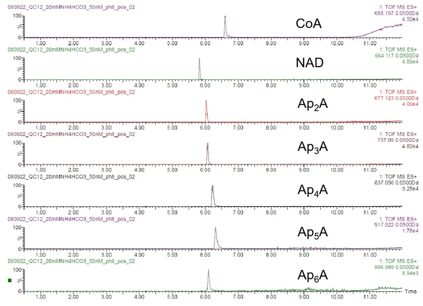 Waters Corporation: Analýza RNA čepičky LC MS-MS (Atlantis Premier C18 AX)