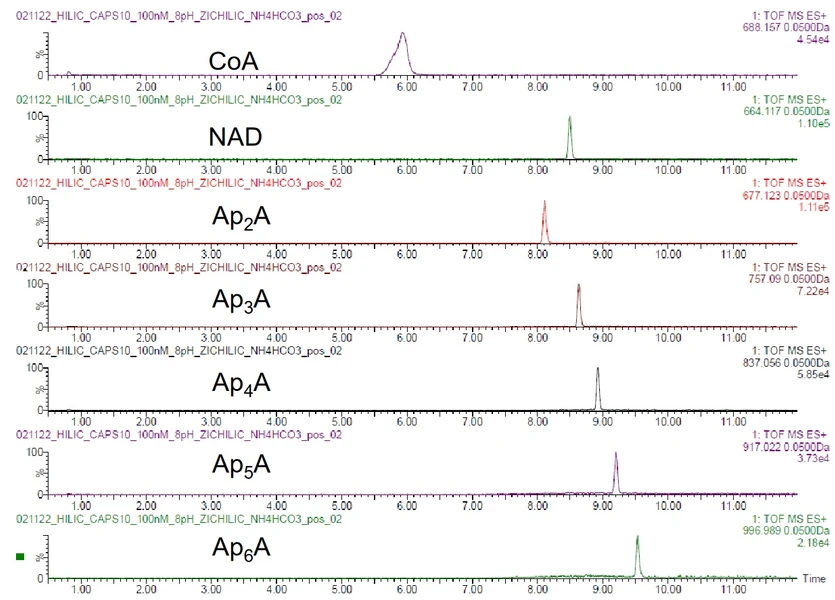 Waters Corporation: Analýza RNA čepičky LC MS-MS (Atlantis Premier Z-HILIC)