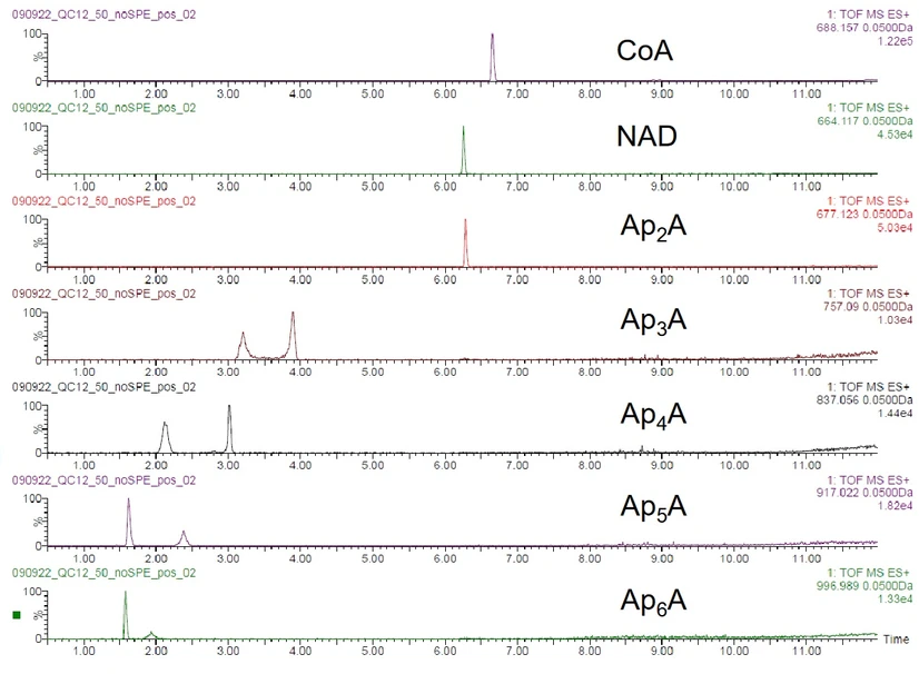 Waters Corporation: Analýza RNA čepičky LC MS-MS (Kolona C18 (USP L1))