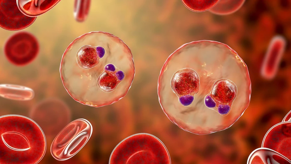 Waters Corporation: Application of SEC-MALS-QELS in the Development of Recombinant Protein-Based Malaria Vaccinesased Malaria Vaccines