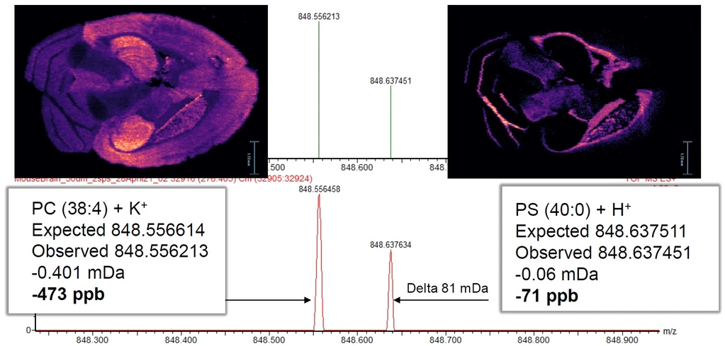 Waters Corporation: High mass resolving power allows improved spatial biolocalisation