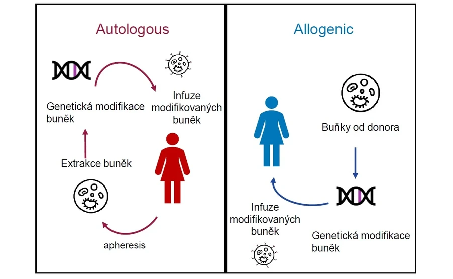 Waters Corporation/Martin Gilar: CAR-T: Chimeric antigen receptor T-cell