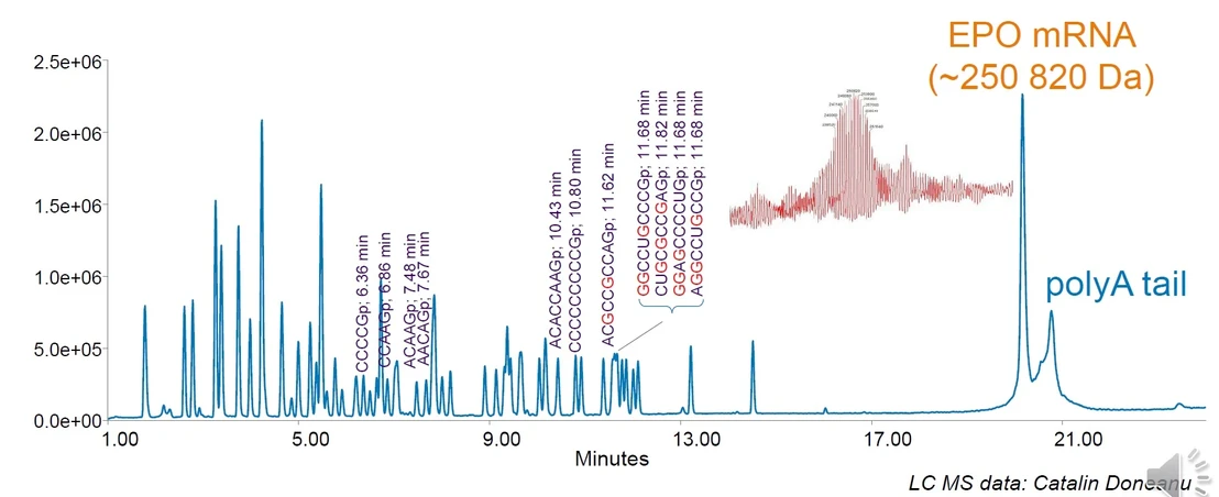 Waters Corporation/Martin Gilar: EPO mRNA mapping - RNase T1 digest