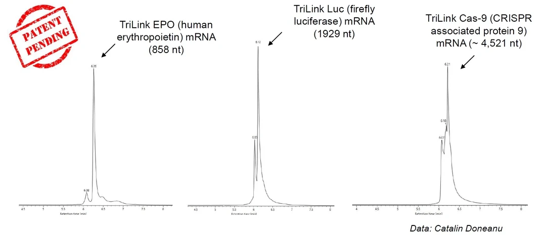Waters Corporation/Martin Gilar: LC-UV Chromatograms of mRNA using IP-RPLC