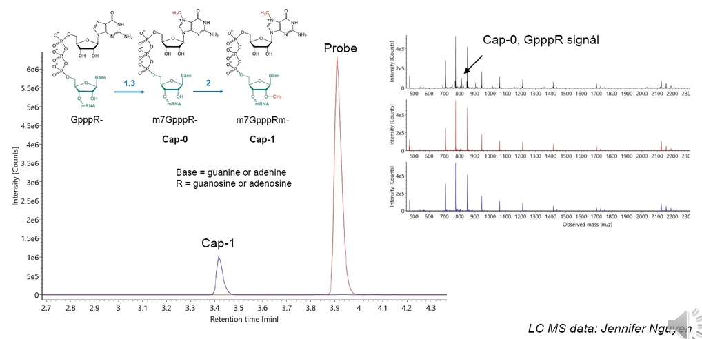 Waters Corporation/Martin Gilar: RNase H digest, 5’Cap LC-MS analýza