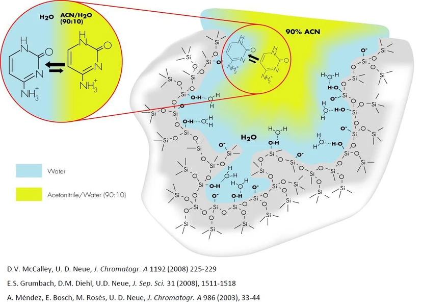 Waters Corporation: Vícemodální retenční mechanismus - HILIC