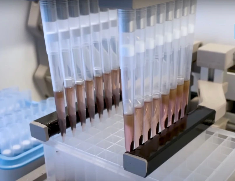Watrex Praha: Figure 1: Two magnetic arms attracting magnetic beads inside pipette tips.