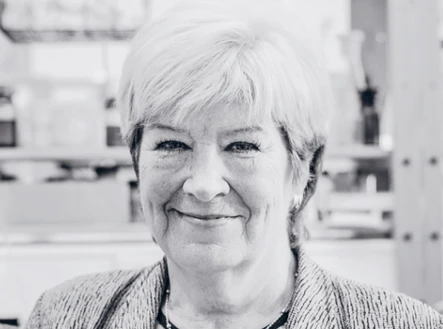 Prof. Ing. Jitka Moravcová, CSc.