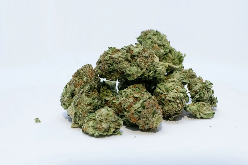 Pixabay/John Miller: GC×GC for improved data quality in profiling cannabis terpenes