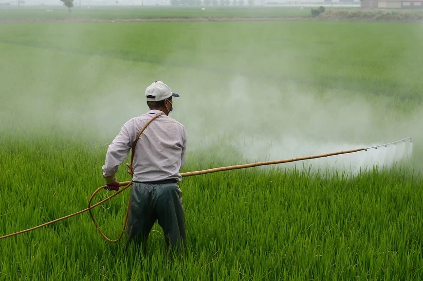 Pixabay/zefe wu: Pesticidy a bojové látky se kryjí i svým historickým vývojem. Začaly se průmyslově vyrábět v druhé polovině čtyřicátých let a měly zaručit vyšší zemědělské výnosy.